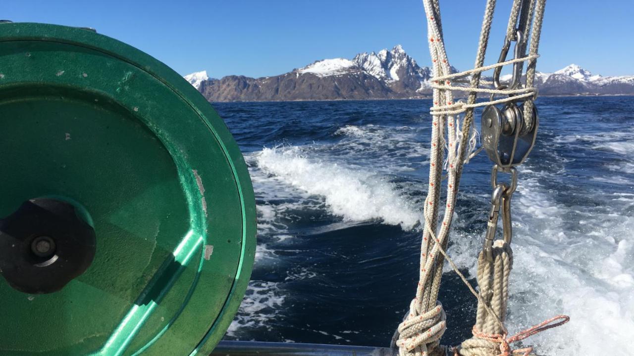 Nordlandshuset "Lottebakken", Ballstad In Lofoten Экстерьер фото
