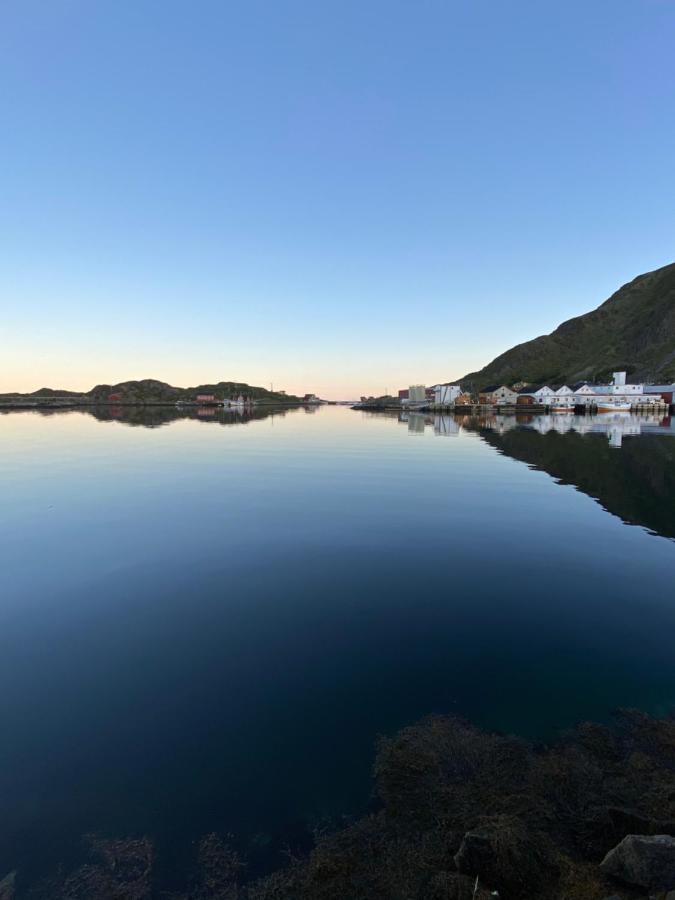 Nordlandshuset "Lottebakken", Ballstad In Lofoten Экстерьер фото